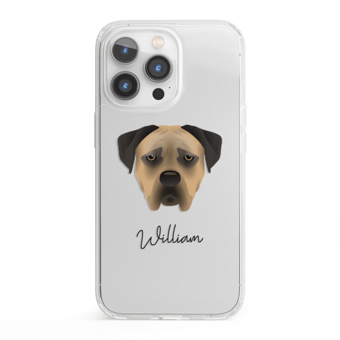 Boerboel Personalised iPhone 13 Pro Clear Bumper Case