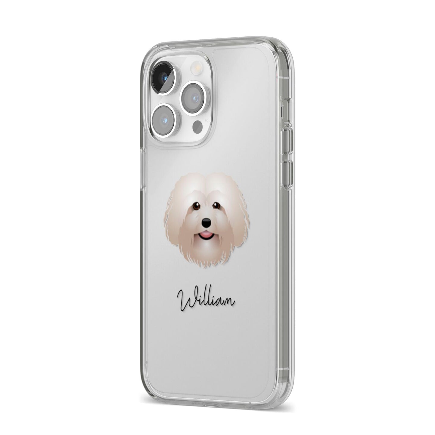 Bolognese Personalised iPhone 14 Pro Max Clear Tough Case Silver Angled Image