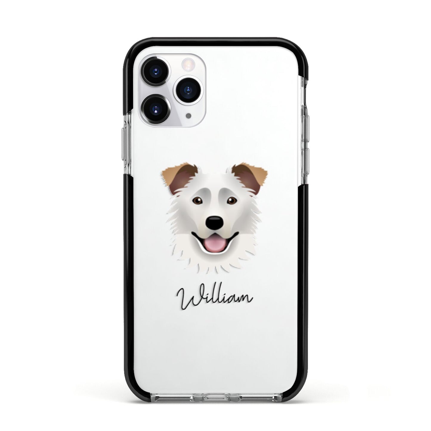 Border Collie Personalised Apple iPhone 11 Pro in Silver with Black Impact Case