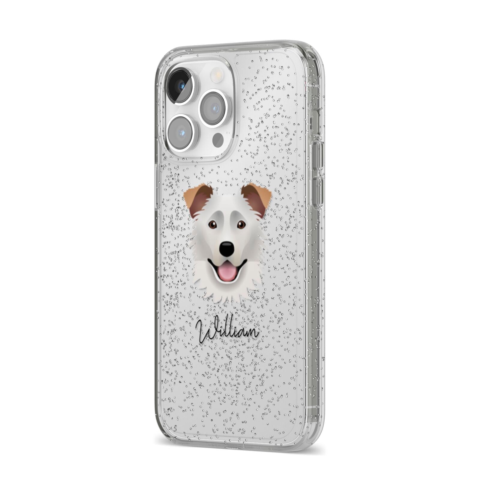 Border Collie Personalised iPhone 14 Pro Max Glitter Tough Case Silver Angled Image