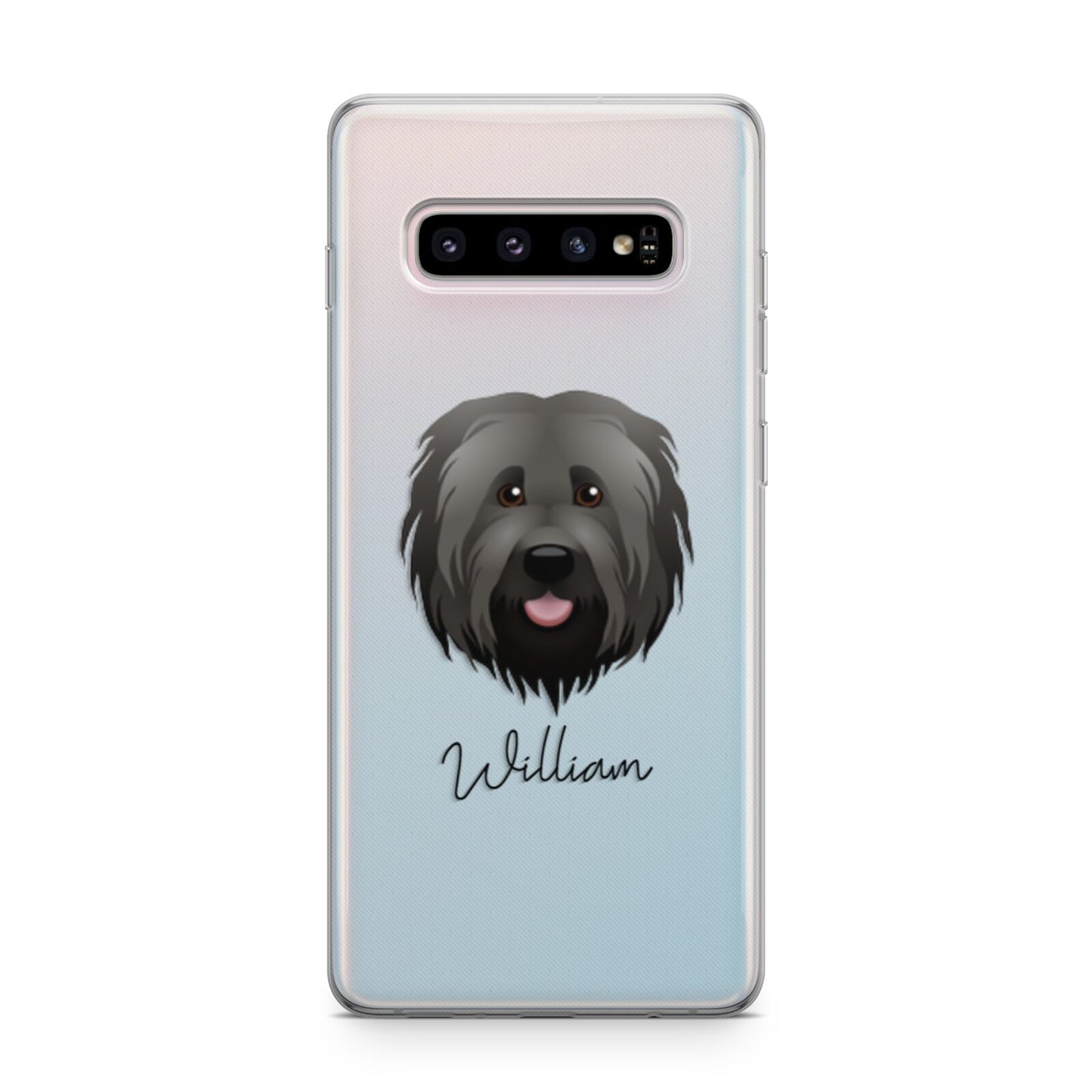 Briard Personalised Samsung Galaxy S10 Plus Case