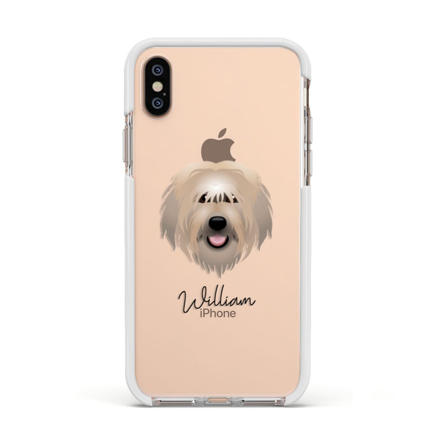 Catalan Sheepdog Personalised Apple iPhone Xs Impact Case White Edge on Gold Phone