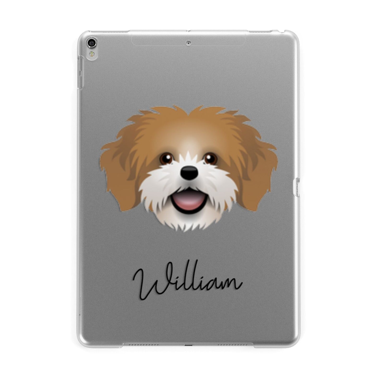 Cava Tzu Personalised Apple iPad Silver Case