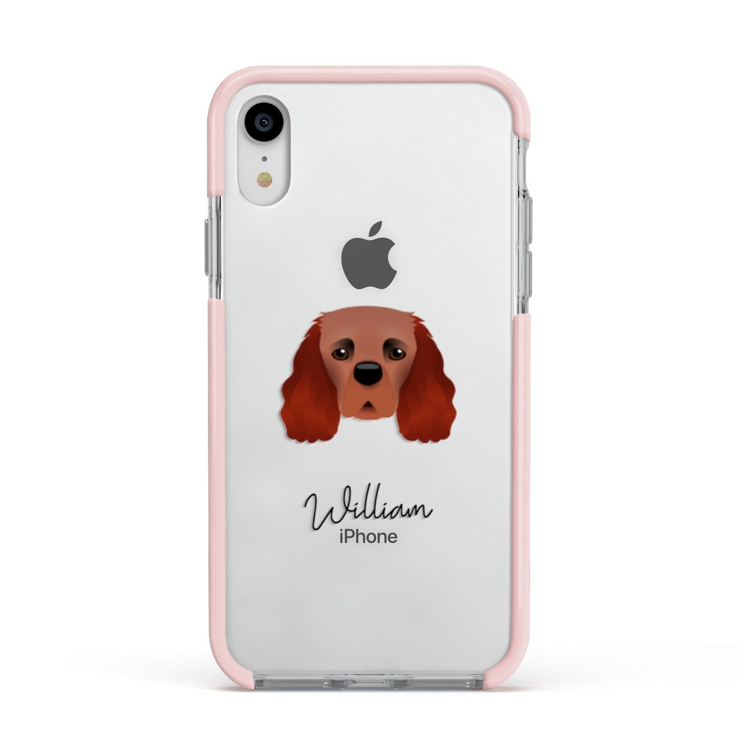 Cavalier King Charles Spaniel Personalised Apple iPhone XR Impact Case Pink Edge on Silver Phone