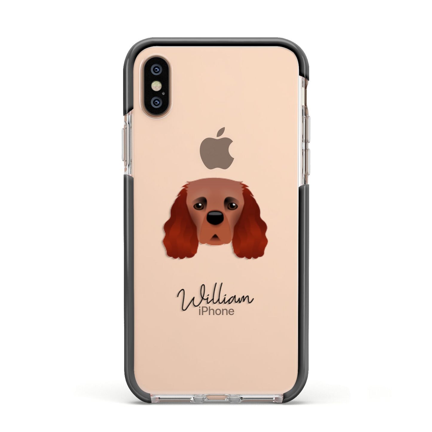 Cavalier King Charles Spaniel Personalised Apple iPhone Xs Impact Case Black Edge on Gold Phone