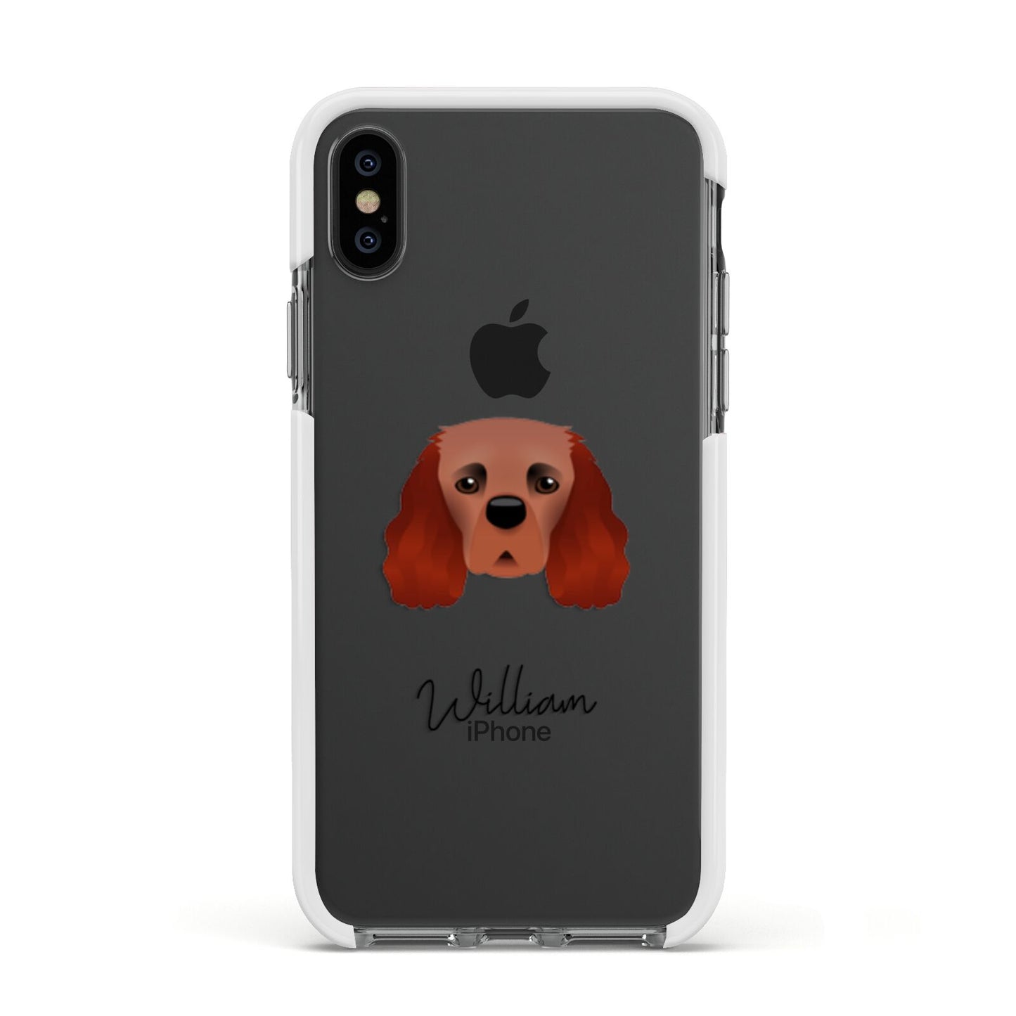 Cavalier King Charles Spaniel Personalised Apple iPhone Xs Impact Case White Edge on Black Phone