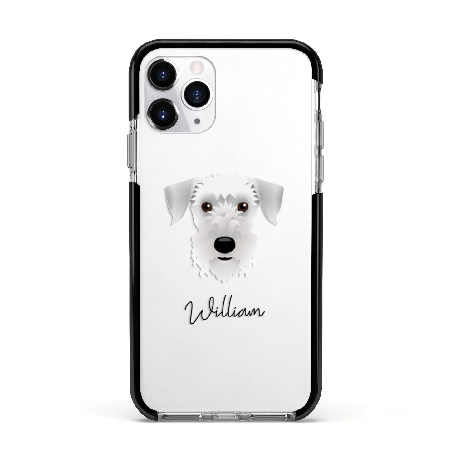 Cesky Terrier Personalised Apple iPhone 11 Pro in Silver with Black Impact Case