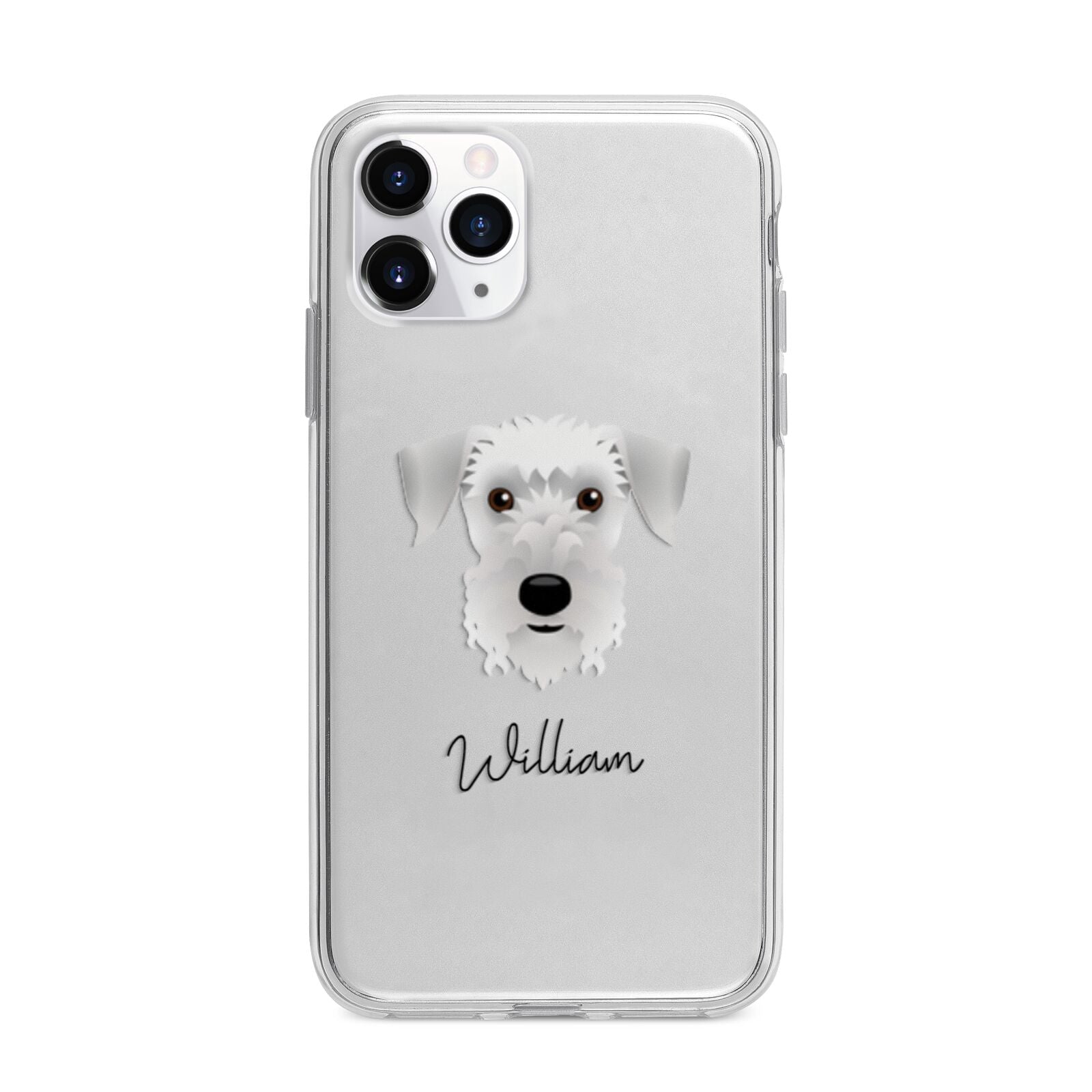 Cesky Terrier Personalised Apple iPhone 11 Pro in Silver with Bumper Case