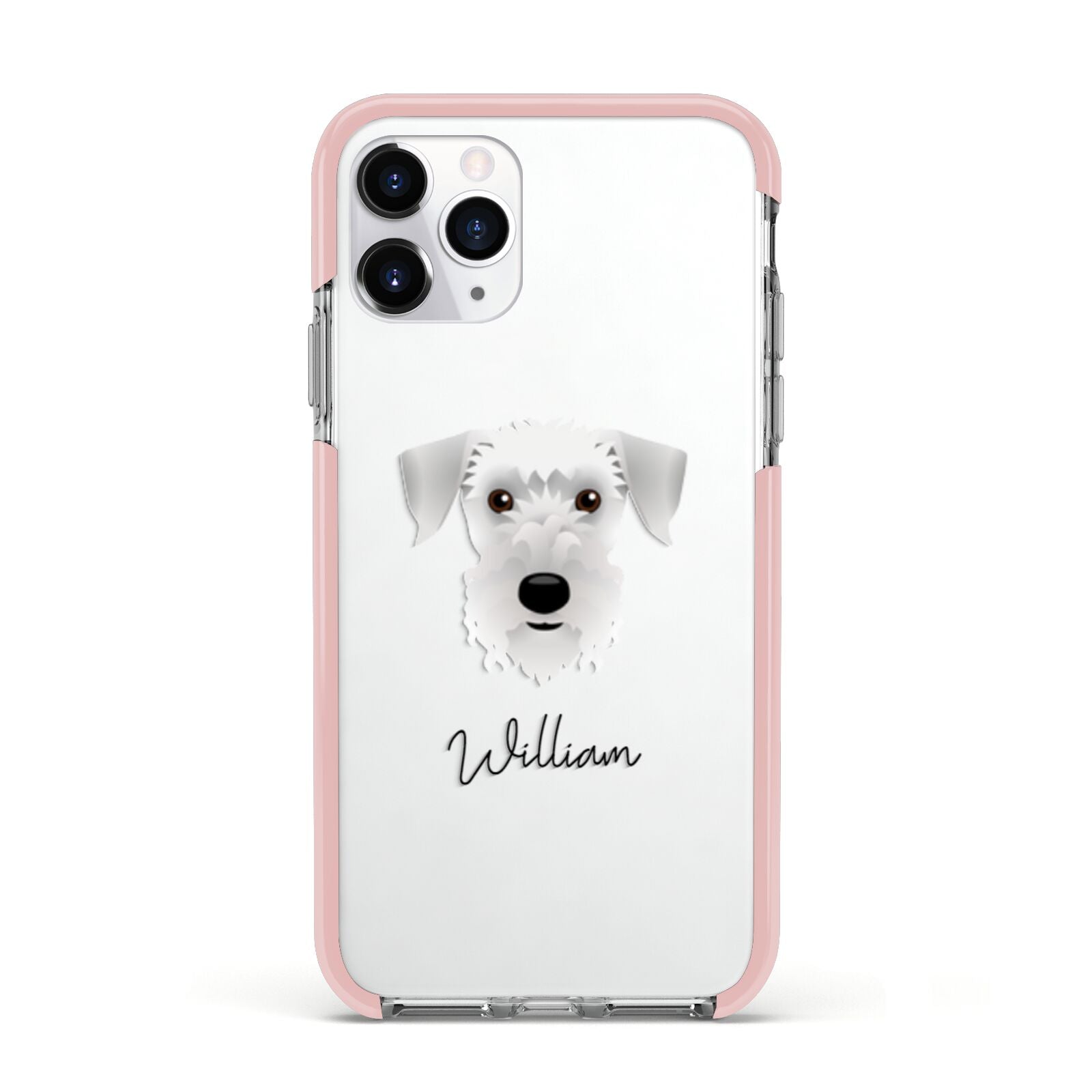 Cesky Terrier Personalised Apple iPhone 11 Pro in Silver with Pink Impact Case