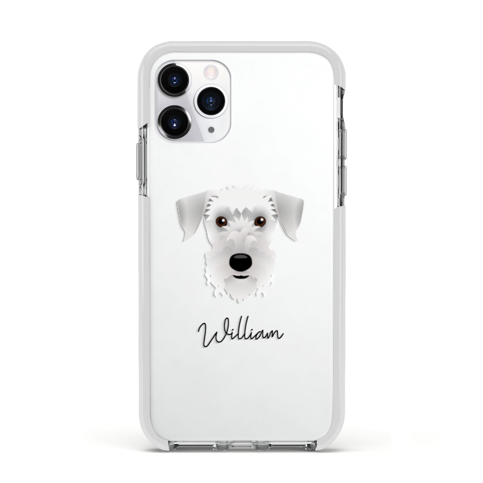 Cesky Terrier Personalised Apple iPhone 11 Pro in Silver with White Impact Case