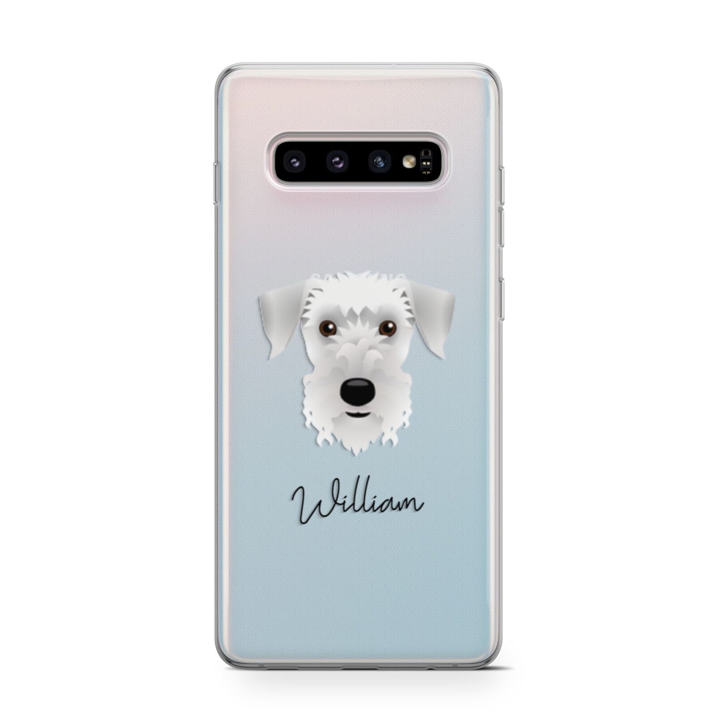 Cesky Terrier Personalised Samsung Galaxy S10 Case