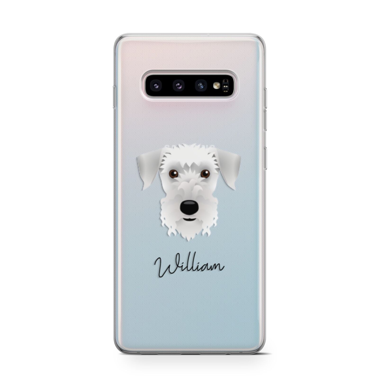 Cesky Terrier Personalised Samsung Galaxy S10 Case