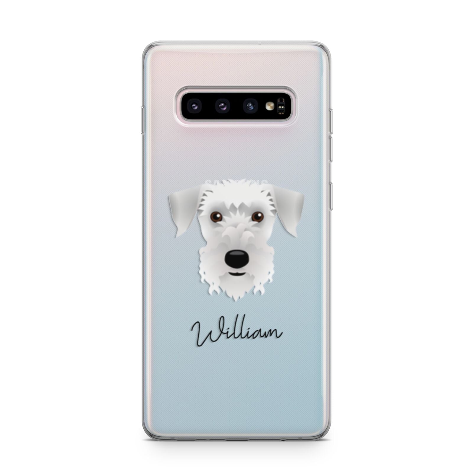 Cesky Terrier Personalised Samsung Galaxy S10 Plus Case