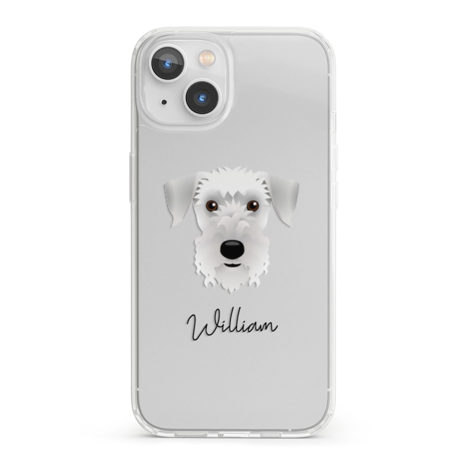 Cesky Terrier Personalised iPhone 13 Clear Bumper Case