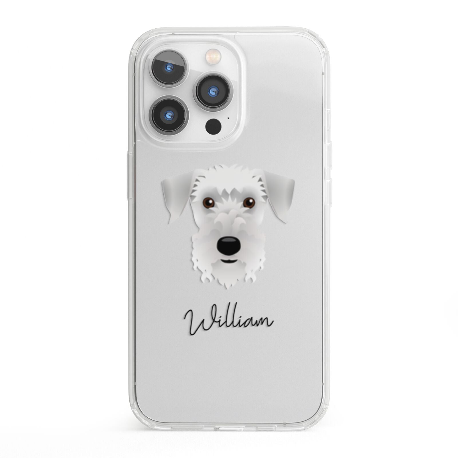 Cesky Terrier Personalised iPhone 13 Pro Clear Bumper Case
