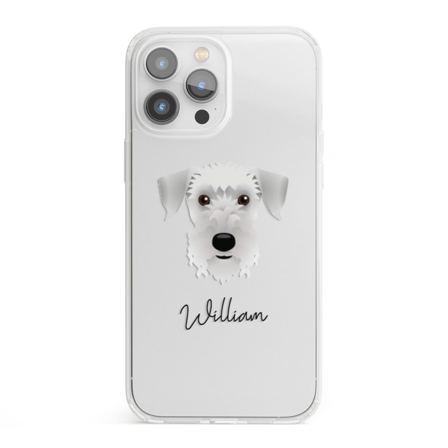 Cesky Terrier Personalised iPhone 13 Pro Max Clear Bumper Case