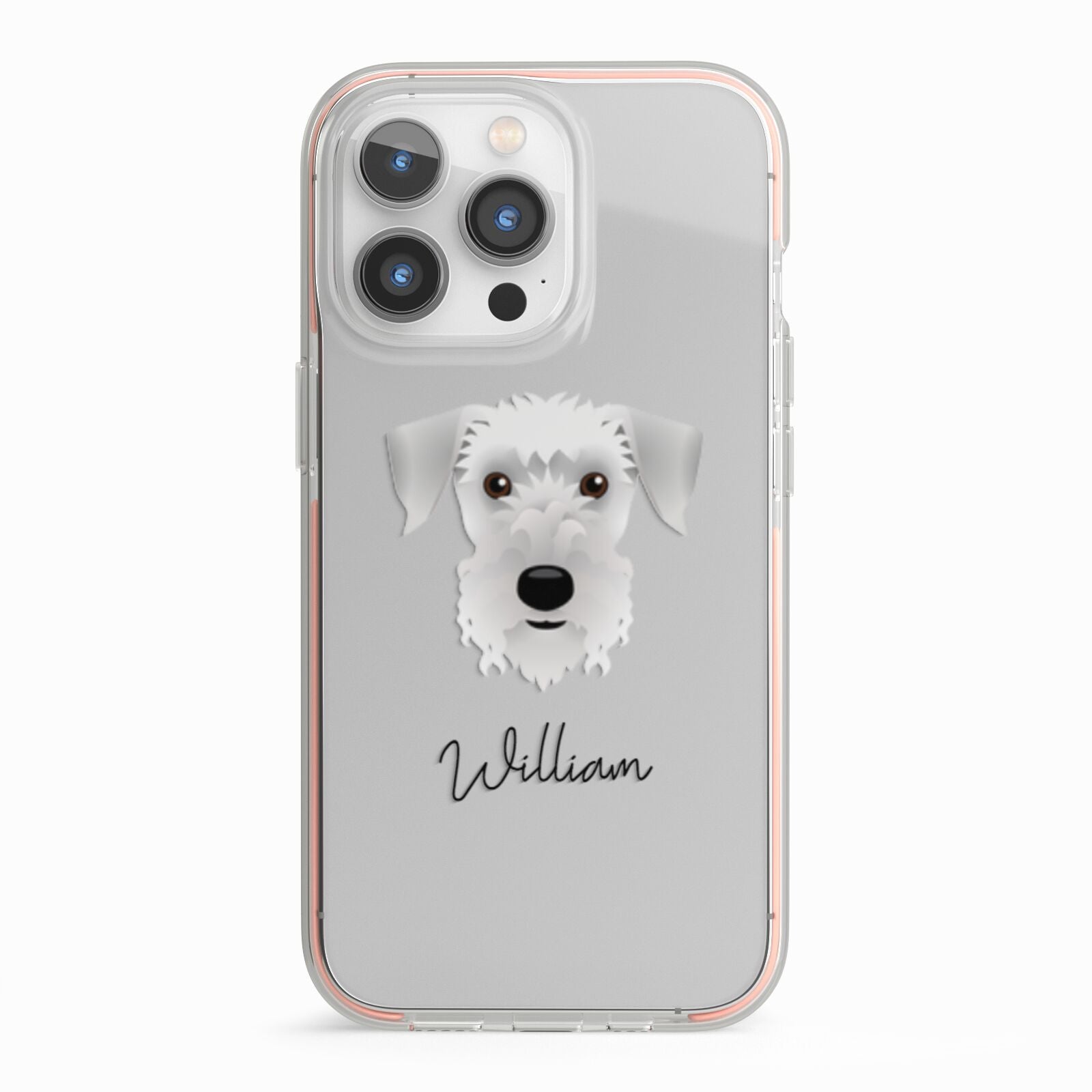 Cesky Terrier Personalised iPhone 13 Pro TPU Impact Case with Pink Edges