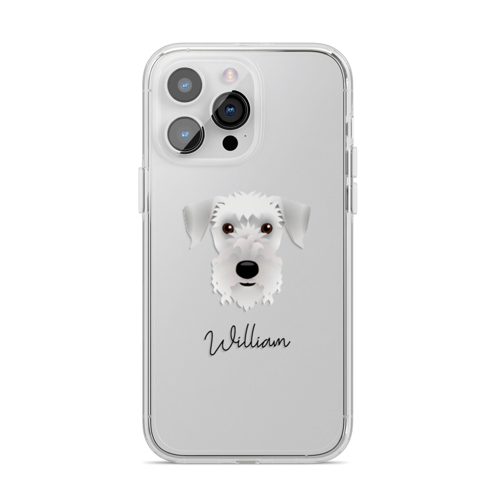 Cesky Terrier Personalised iPhone 14 Pro Max Clear Tough Case Silver