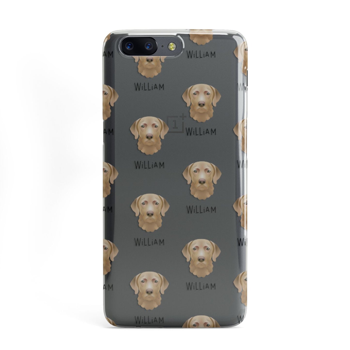 Chesapeake Bay Retriever Icon with Name OnePlus Case