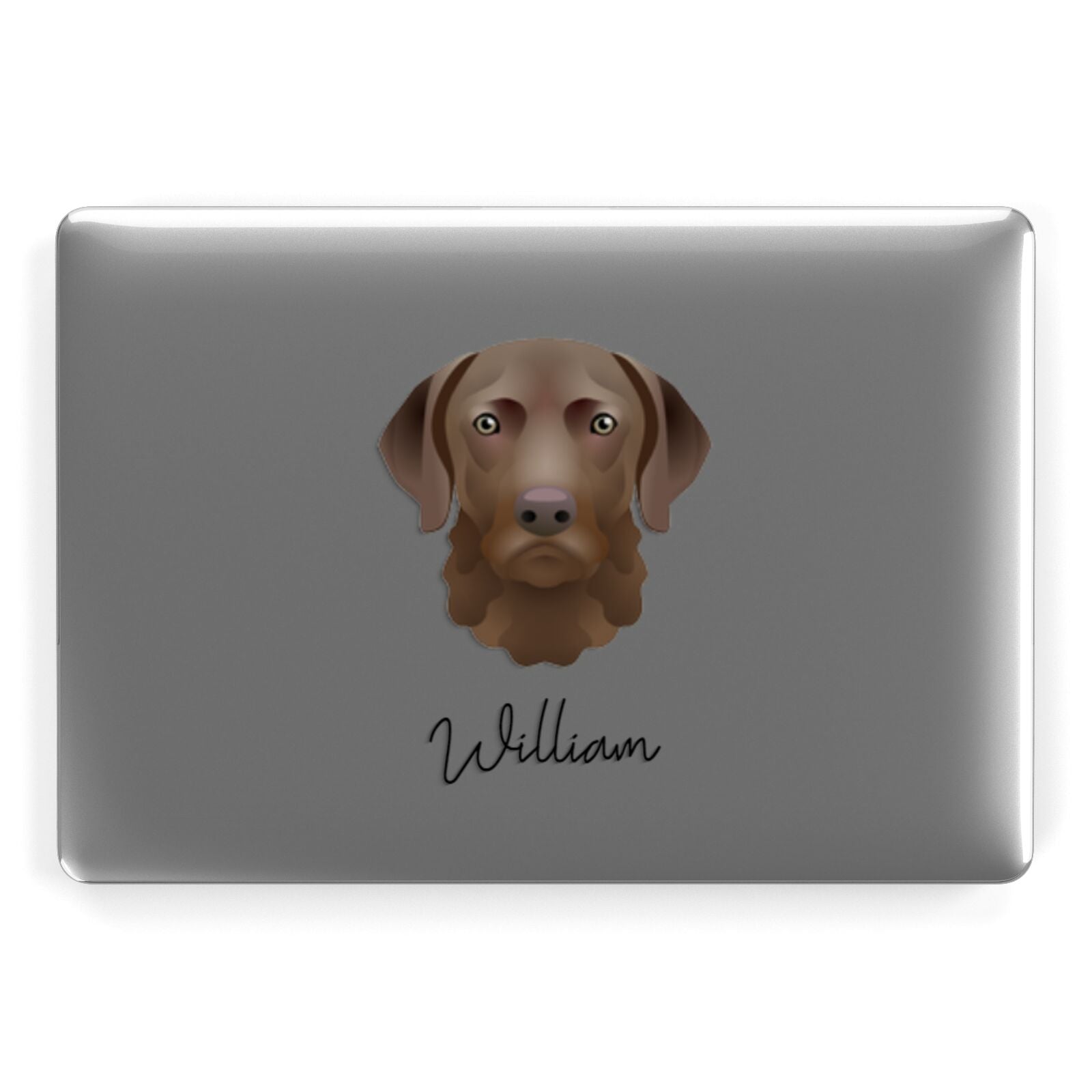 Chesapeake Bay Retriever Personalised Apple MacBook Case