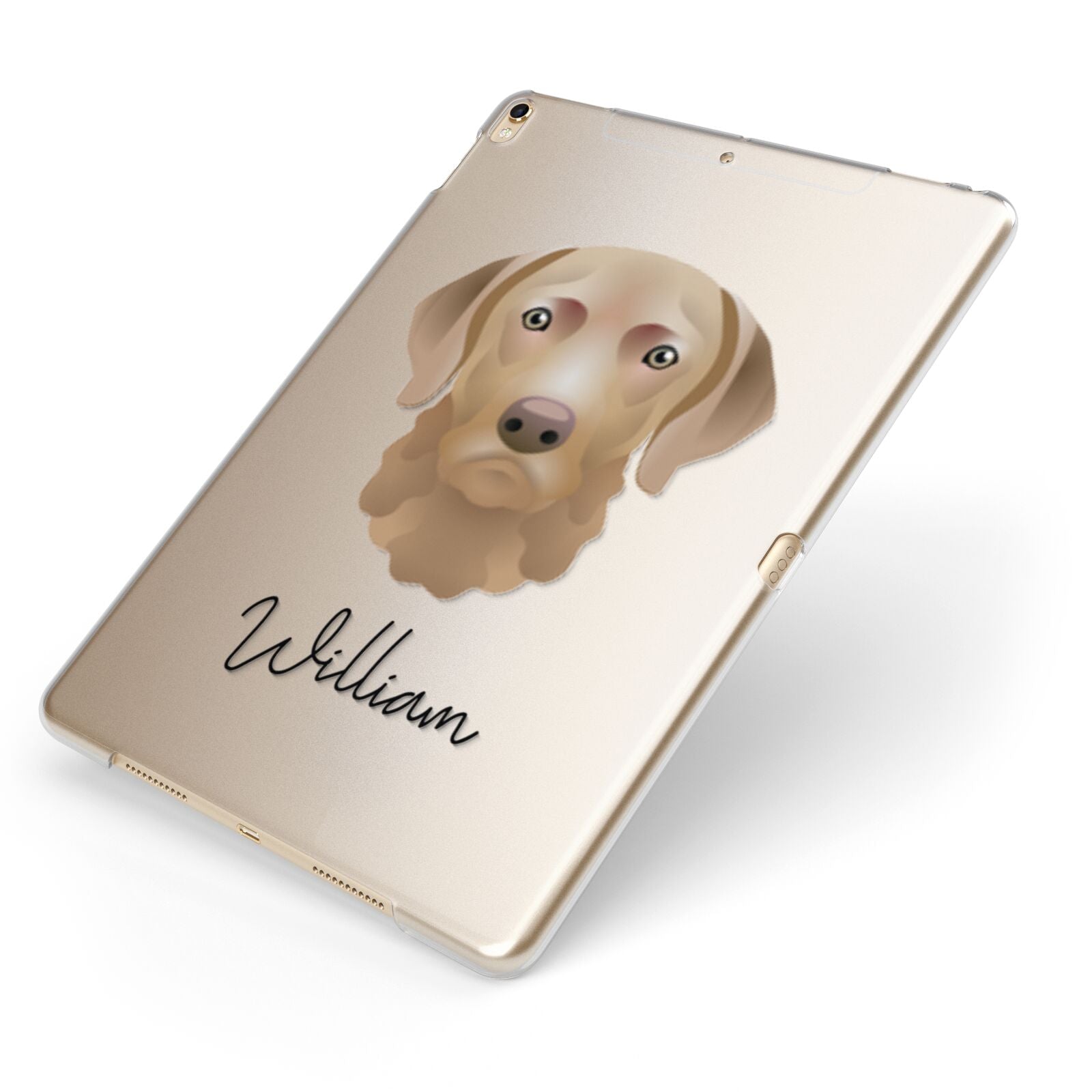 Chesapeake Bay Retriever Personalised Apple iPad Case on Gold iPad Side View