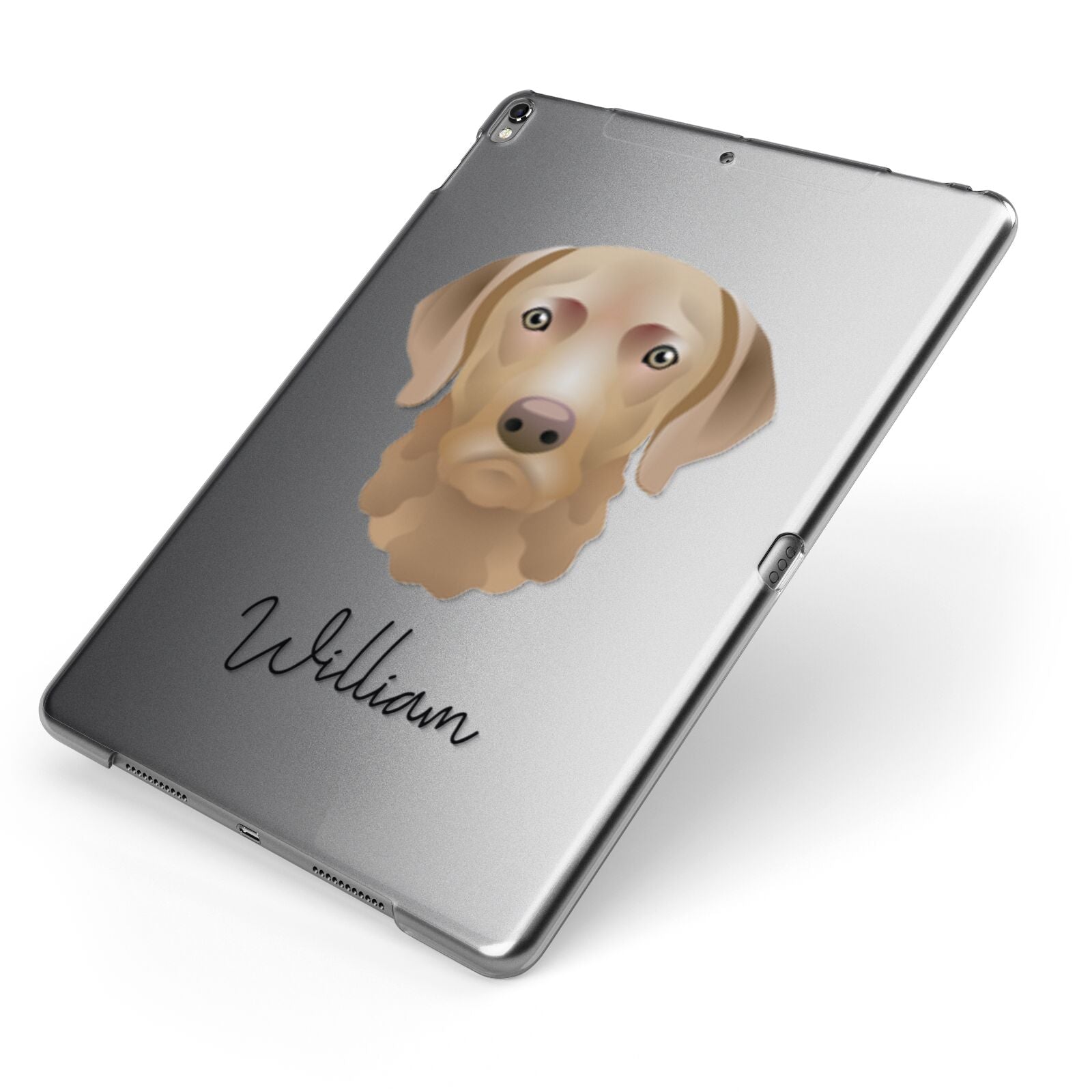 Chesapeake Bay Retriever Personalised Apple iPad Case on Grey iPad Side View