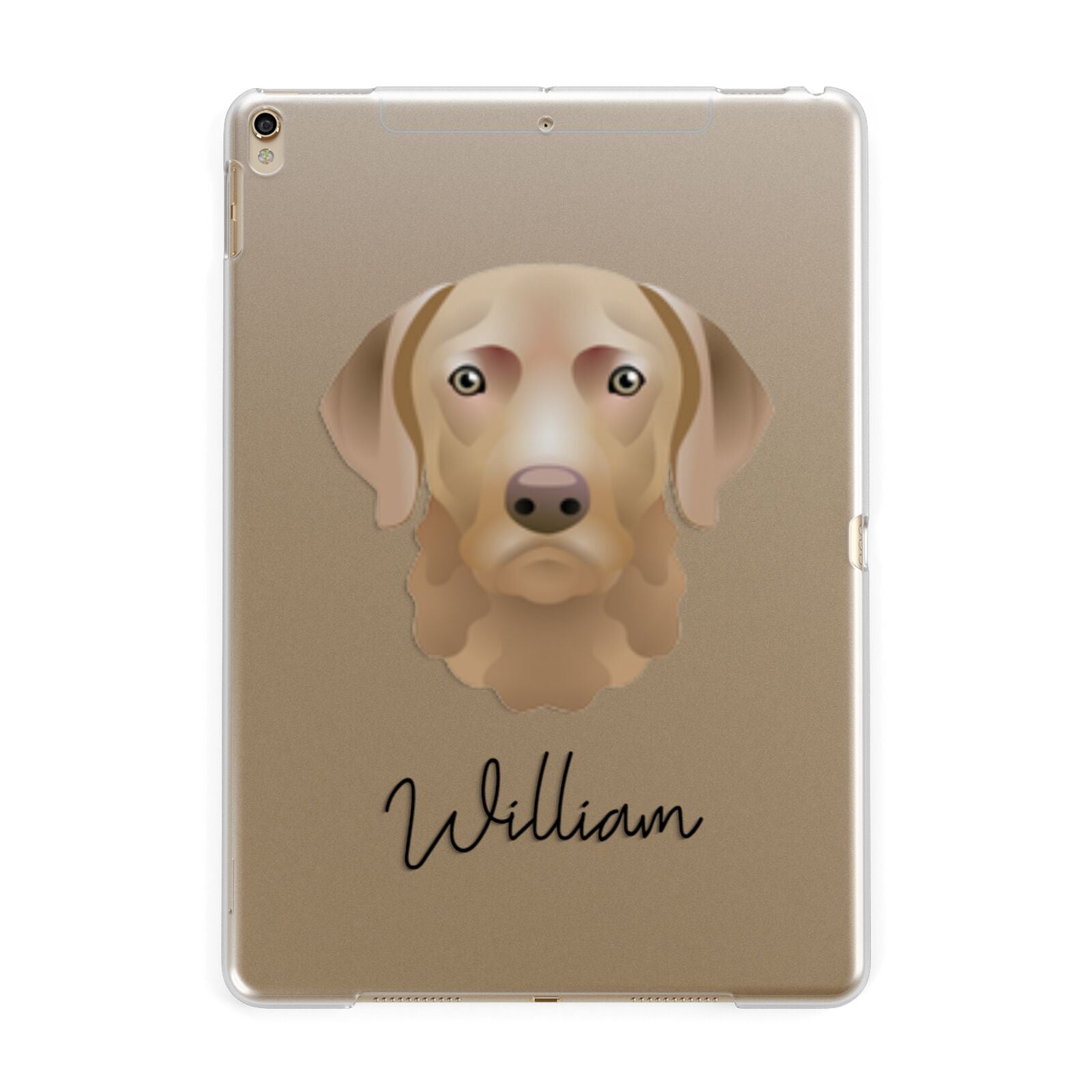 Chesapeake Bay Retriever Personalised Apple iPad Gold Case