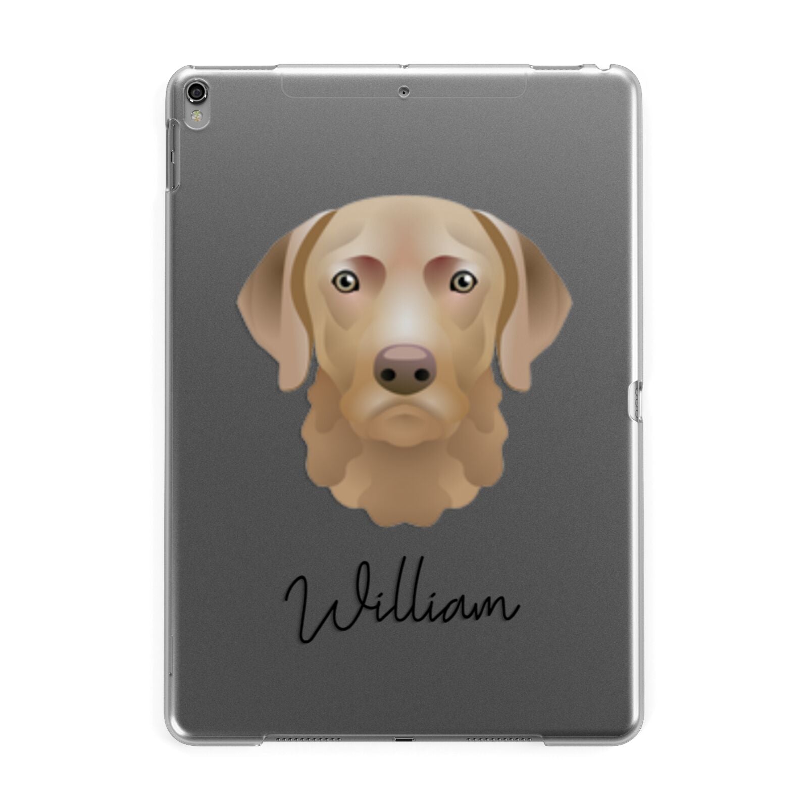 Chesapeake Bay Retriever Personalised Apple iPad Grey Case