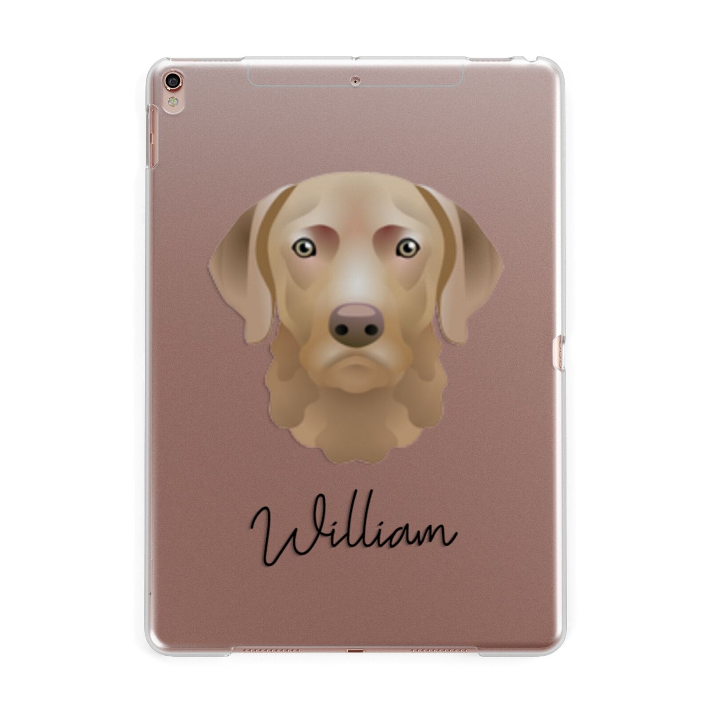 Chesapeake Bay Retriever Personalised Apple iPad Rose Gold Case