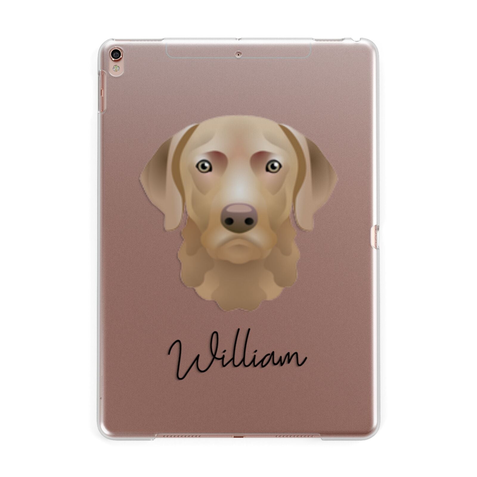 Chesapeake Bay Retriever Personalised Apple iPad Rose Gold Case