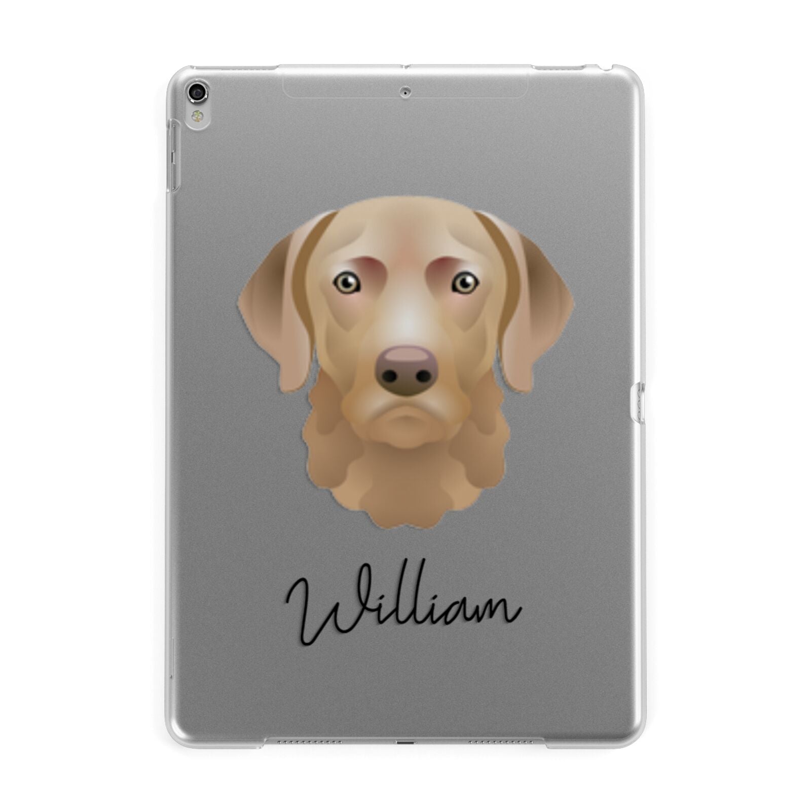 Chesapeake Bay Retriever Personalised Apple iPad Silver Case