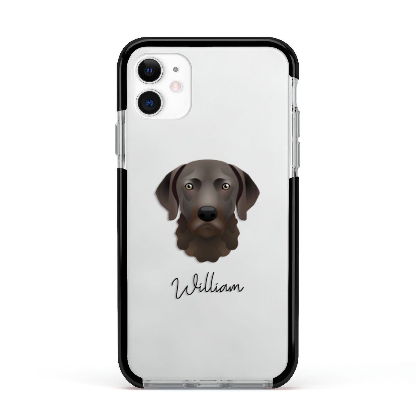 Chesapeake Bay Retriever Personalised Apple iPhone 11 in White with Black Impact Case