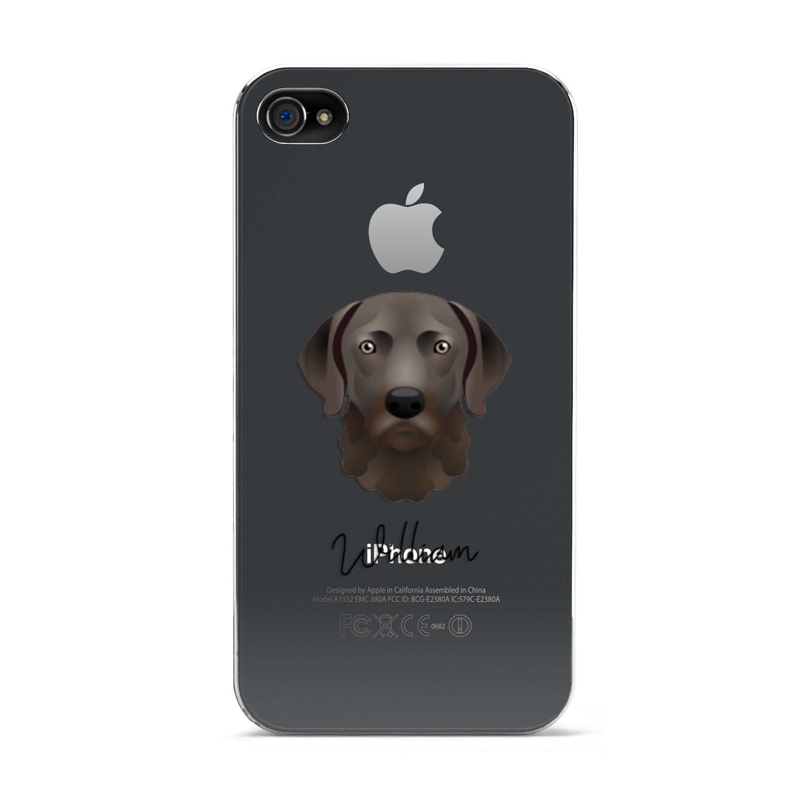 Chesapeake Bay Retriever Personalised Apple iPhone 4s Case