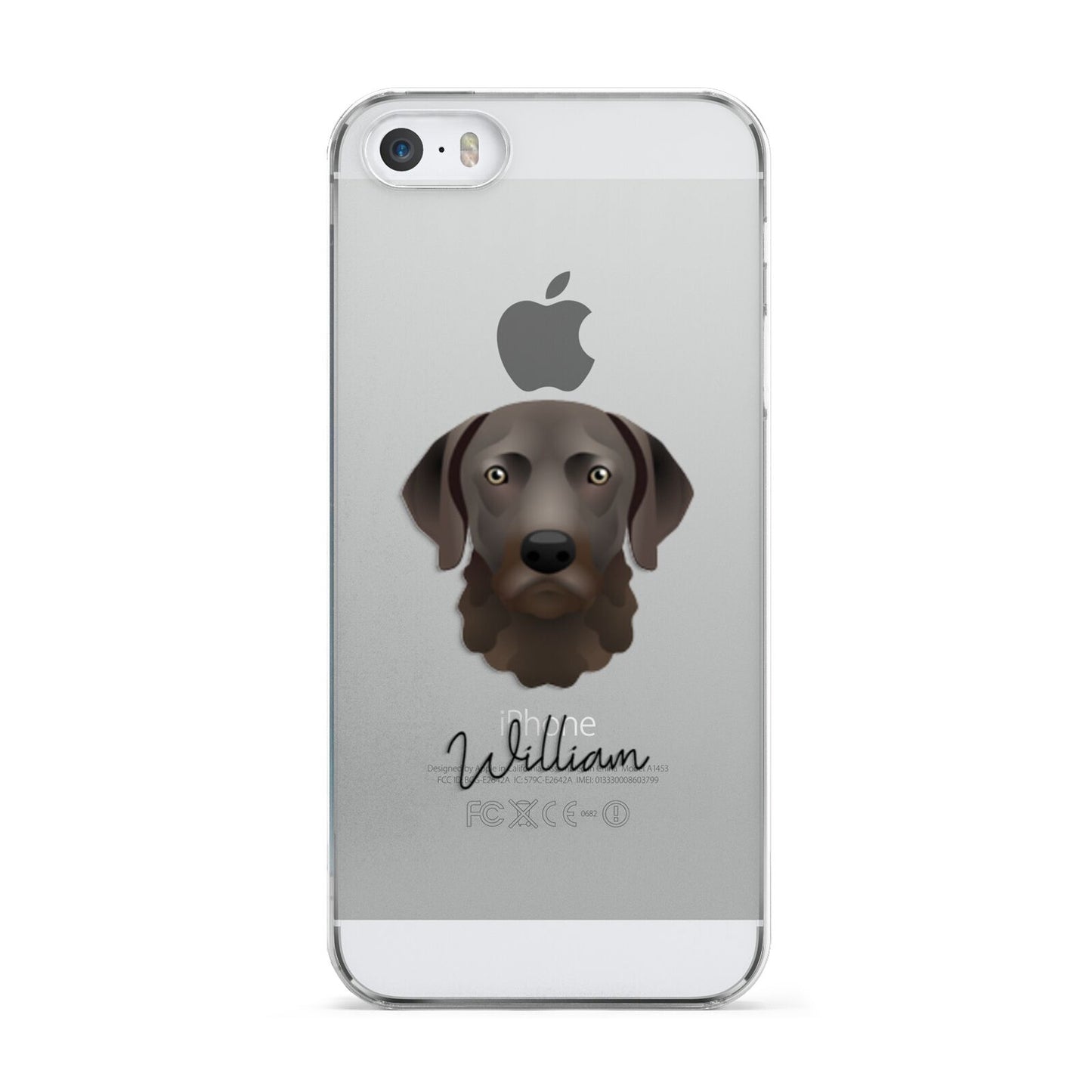 Chesapeake Bay Retriever Personalised Apple iPhone 5 Case