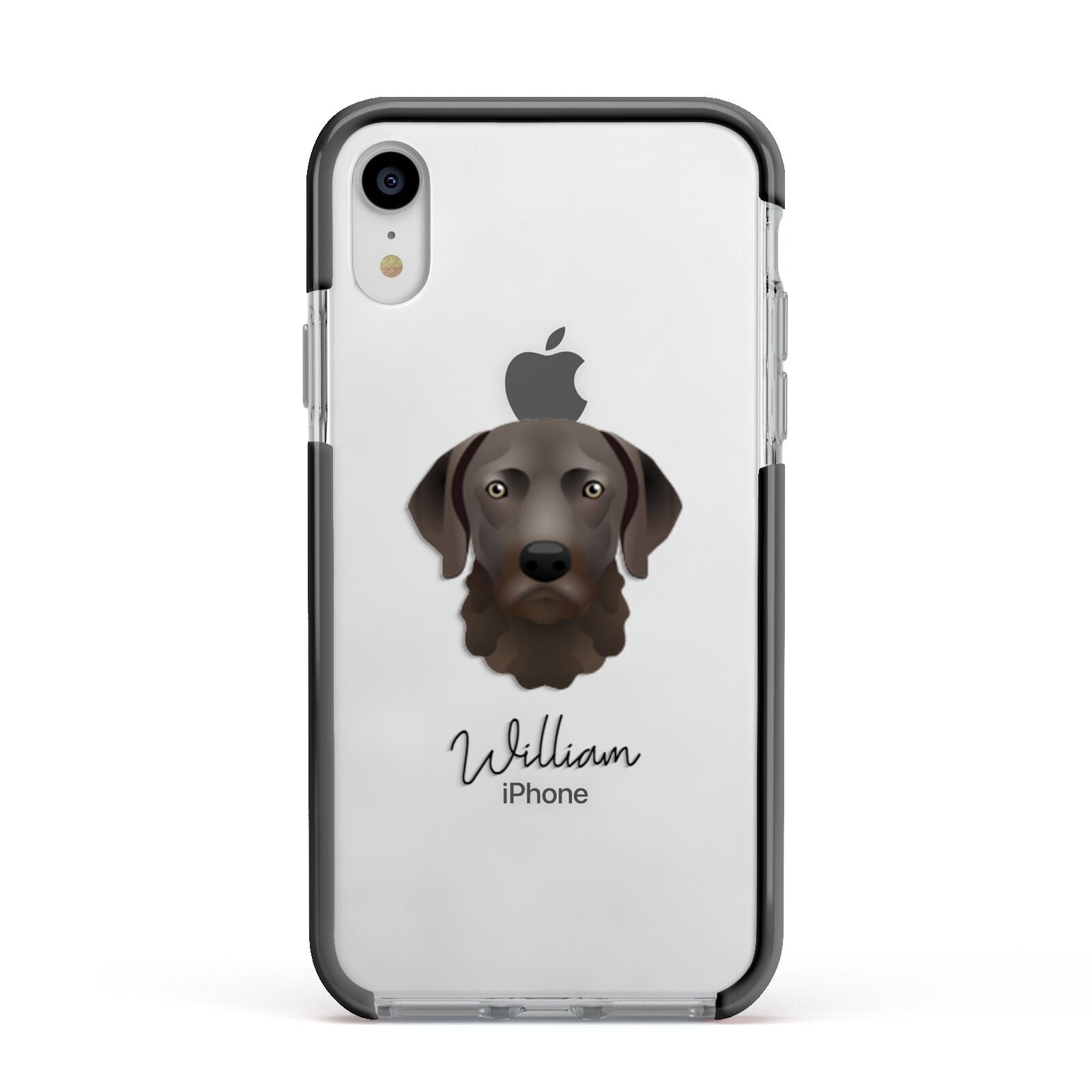 Chesapeake Bay Retriever Personalised Apple iPhone XR Impact Case Black Edge on Silver Phone