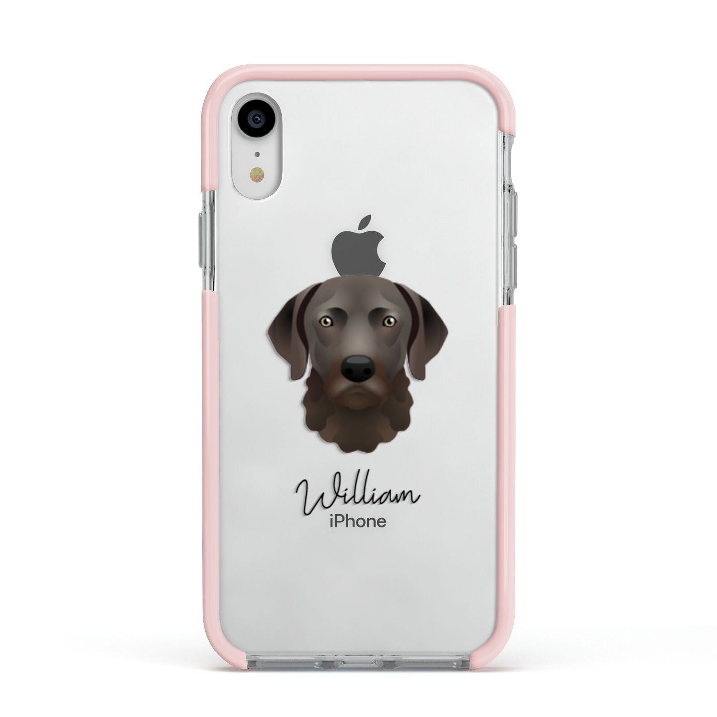 Chesapeake Bay Retriever Personalised Apple iPhone XR Impact Case Pink Edge on Silver Phone