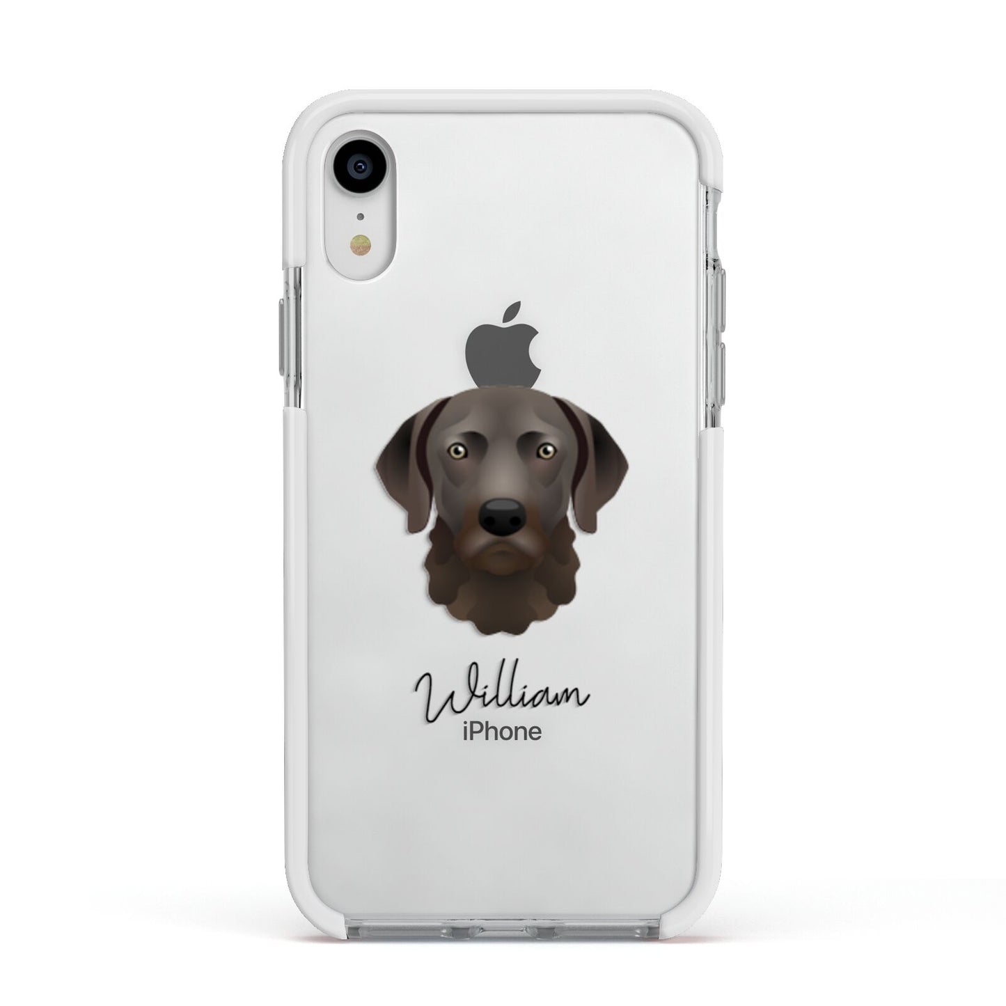 Chesapeake Bay Retriever Personalised Apple iPhone XR Impact Case White Edge on Silver Phone