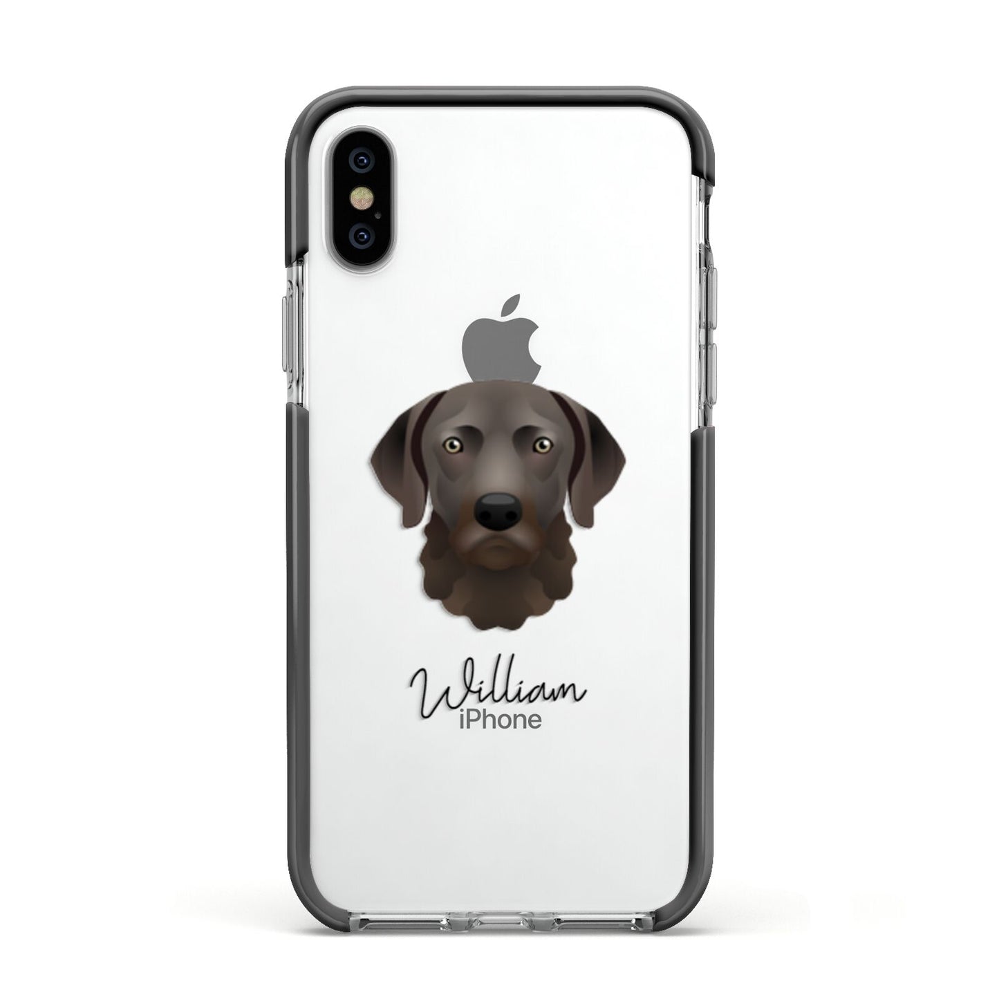 Chesapeake Bay Retriever Personalised Apple iPhone Xs Impact Case Black Edge on Silver Phone