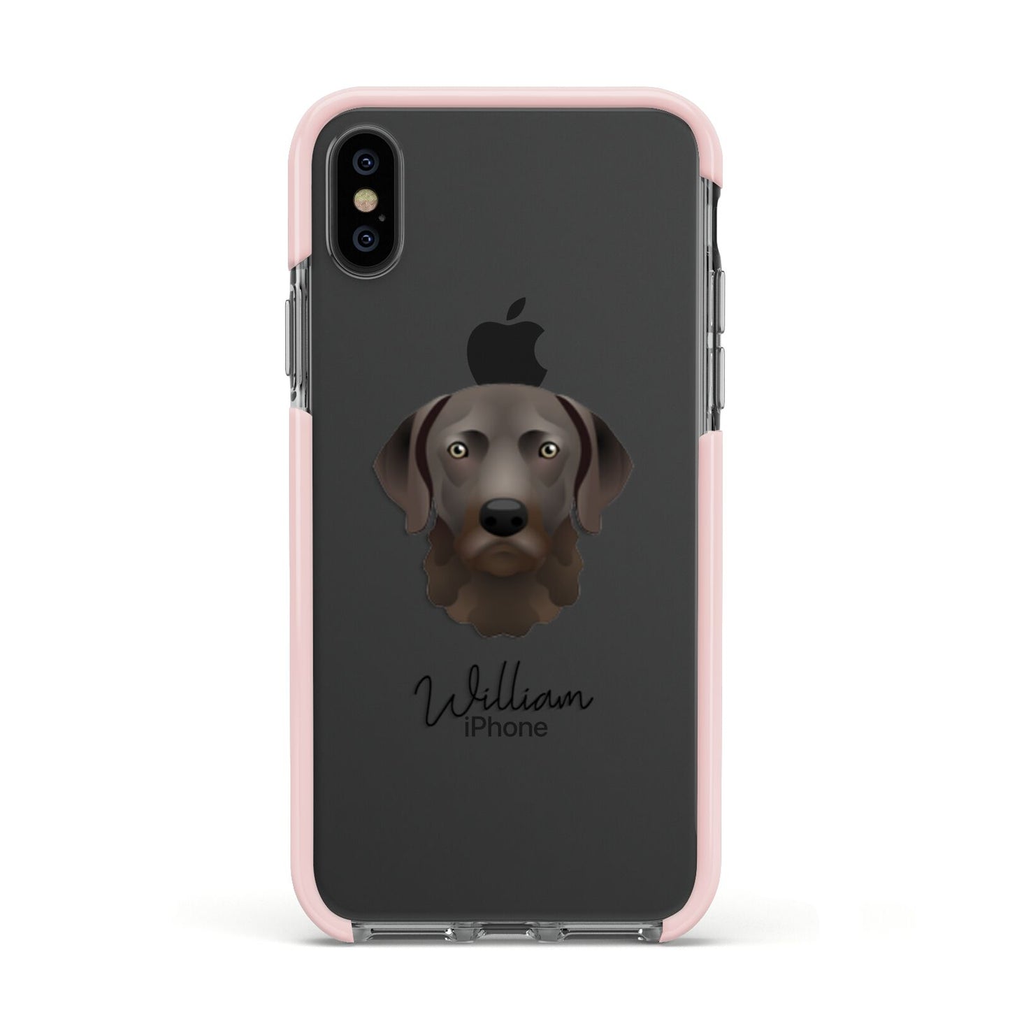 Chesapeake Bay Retriever Personalised Apple iPhone Xs Impact Case Pink Edge on Black Phone