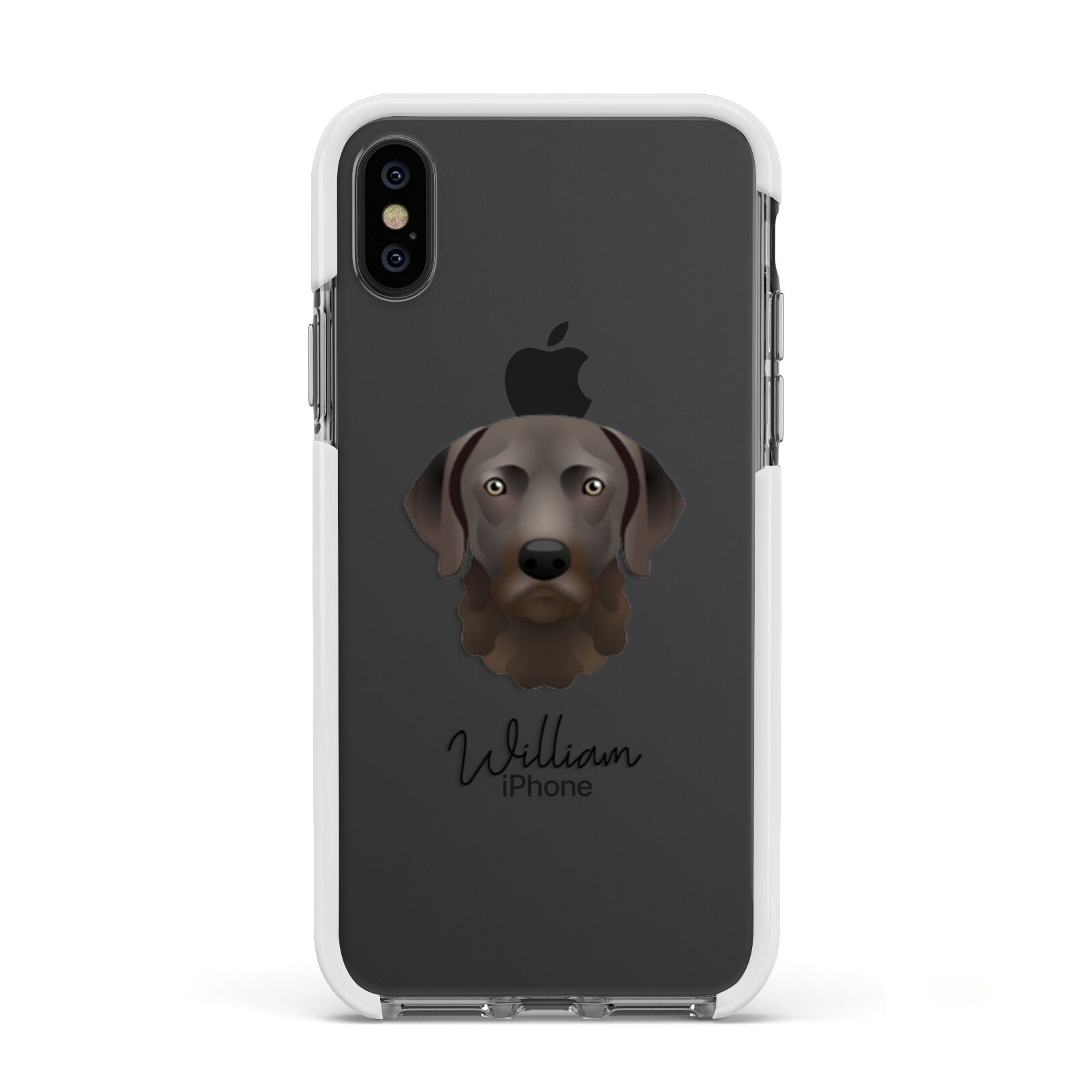 Chesapeake Bay Retriever Personalised Apple iPhone Xs Impact Case White Edge on Black Phone