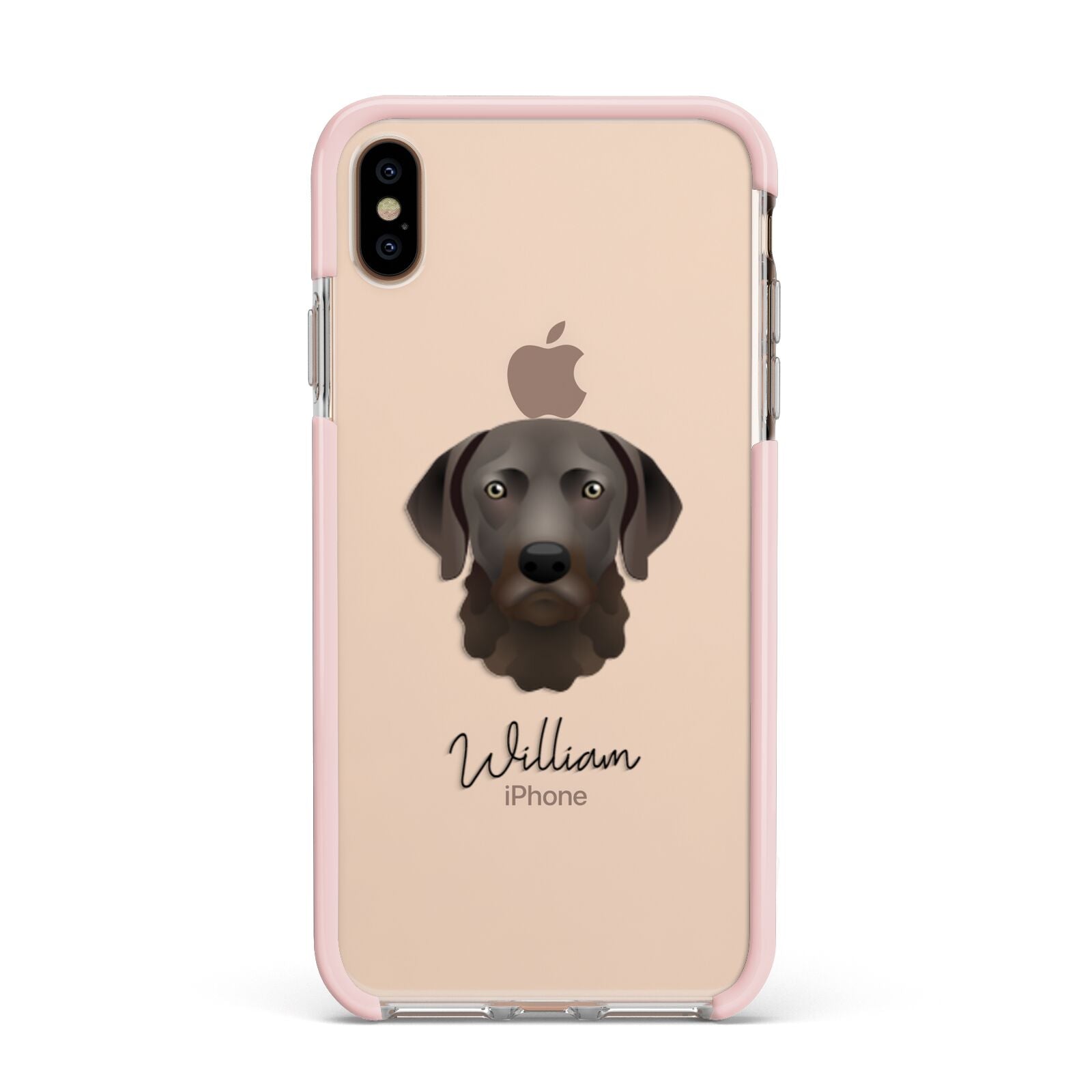 Chesapeake Bay Retriever Personalised Apple iPhone Xs Max Impact Case Pink Edge on Gold Phone