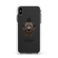 Chesapeake Bay Retriever Personalised Apple iPhone Xs Max Impact Case White Edge on Black Phone