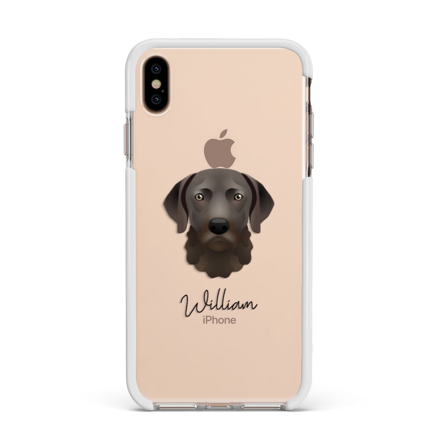 Chesapeake Bay Retriever Personalised Apple iPhone Xs Max Impact Case White Edge on Gold Phone