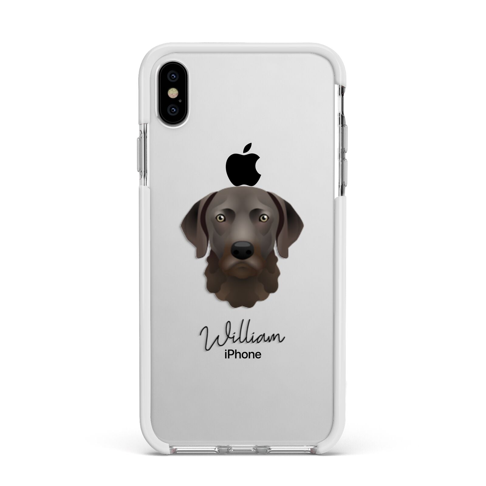 Chesapeake Bay Retriever Personalised Apple iPhone Xs Max Impact Case White Edge on Silver Phone