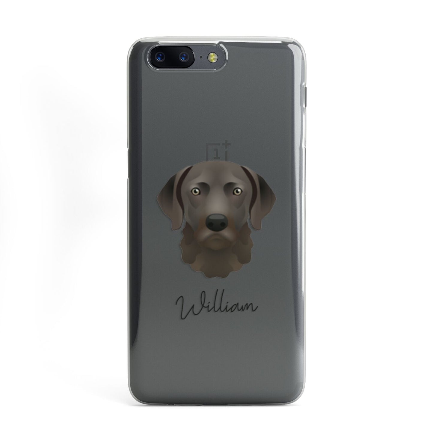 Chesapeake Bay Retriever Personalised OnePlus Case