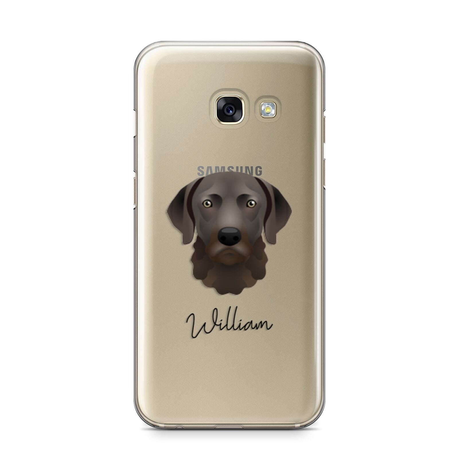 Chesapeake Bay Retriever Personalised Samsung Galaxy A3 2017 Case on gold phone