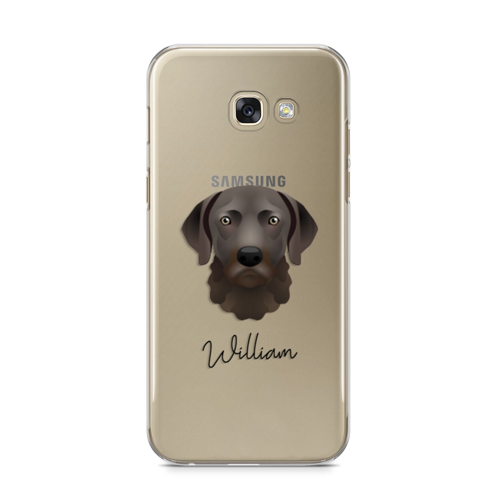 Chesapeake Bay Retriever Personalised Samsung Galaxy A5 2017 Case on gold phone