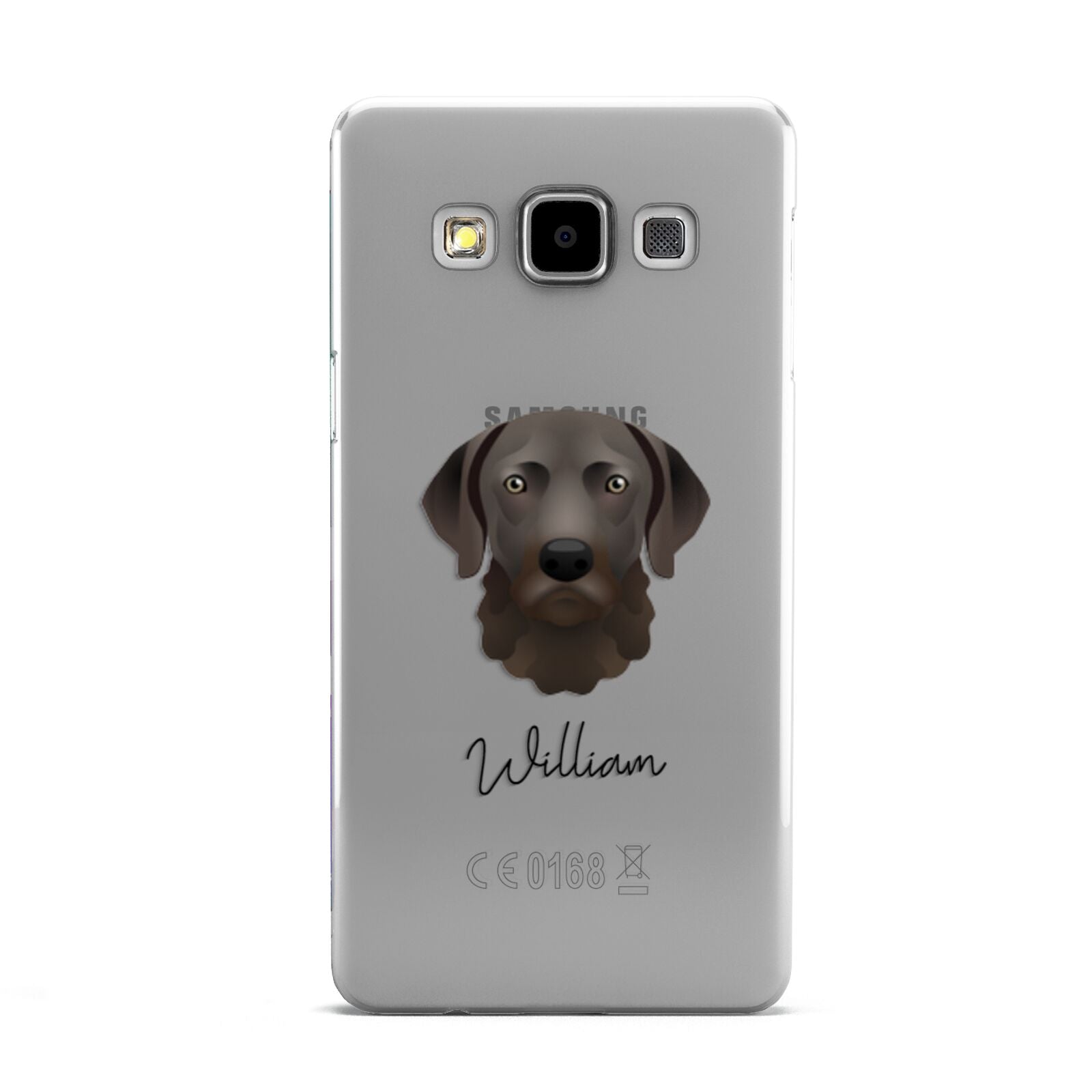 Chesapeake Bay Retriever Personalised Samsung Galaxy A5 Case