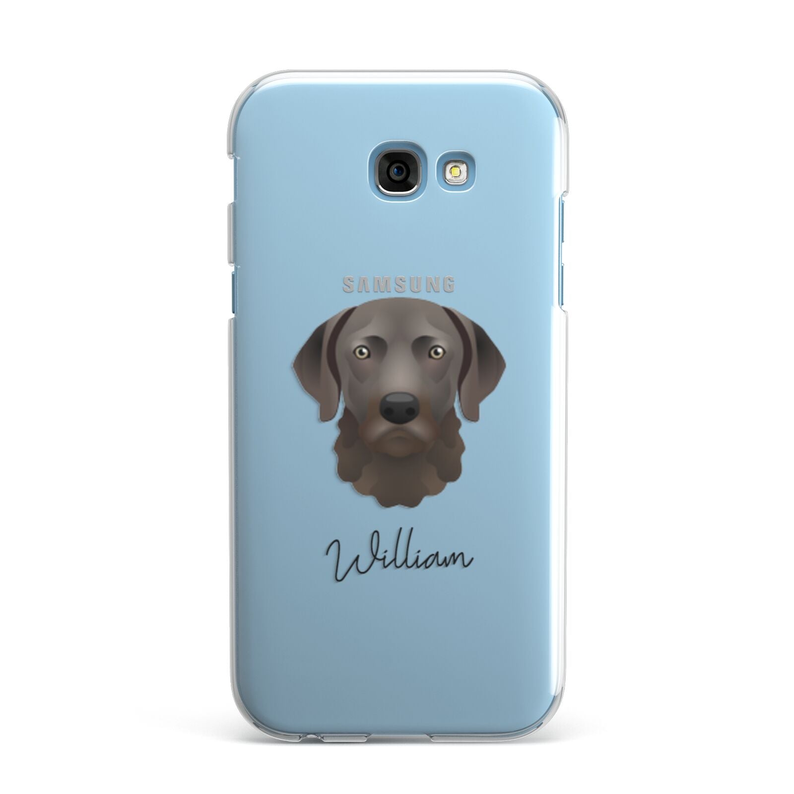 Chesapeake Bay Retriever Personalised Samsung Galaxy A7 2017 Case