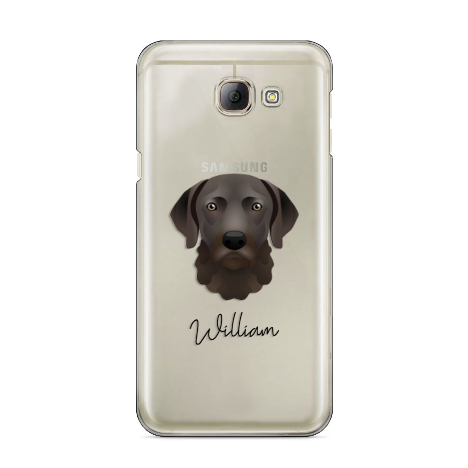 Chesapeake Bay Retriever Personalised Samsung Galaxy A8 2016 Case